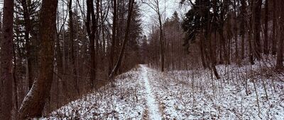 Sanatorka ↔ Goleszów, Kalwerk