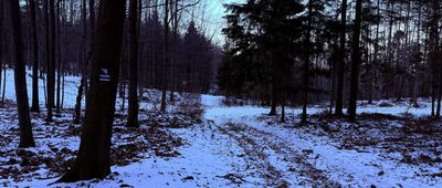 Rozejście szlaków ↔ Pod Bujakowską Górą