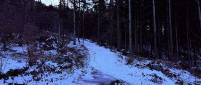 Rozejście szlaków ↔ Rozejście szlaków