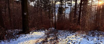 Bujakowski Groń ↔ Żarnówka Mała, rozejście szlaków