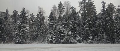 Dąbrowa-Łąki ↔ Sosnowica