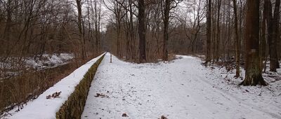 Łącka Grobla ↔ Pszczyna, rozejście przy zagrodzie żubrów