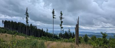 Rozejście szlaków ↔ Kowalowa