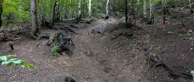 Garbatka ↔ Rozejście szlaków pod Miłoszem