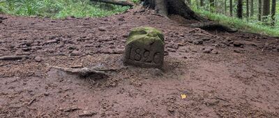 Przełęcz pod Szpiczakiem ↔ Ruprechtický Špičák