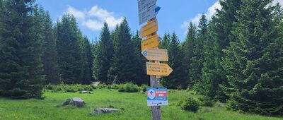 Polana w Karkonoszach