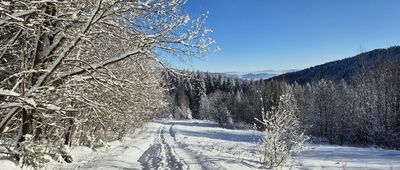 Nowa Polana ↔ Granica Gorczańskiego Parku Narodowego [Nowa Polana]