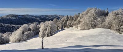 Granica Gorczańskiego Parku Narodowego ↔ Gorc Kamienicki [Polana Świnkówka]