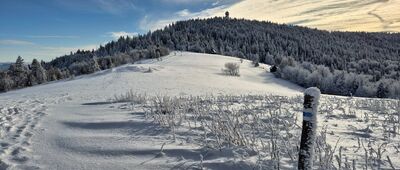 Granica Gorczańskiego Parku Narodowego ↔ Gorc Kamienicki [Wieża widokowa na Gorcu spod Czoła Gorca]