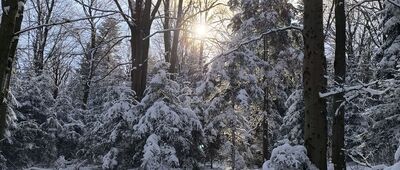 Przełęcz Karczmarka ↔ Wesołówka