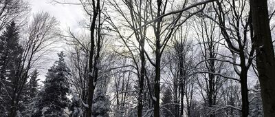 Pod Szczytniakiem ↔ Przełęcz Karczmarka