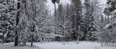 Rezerwat Dalejów, odejście Piekielnego Szlaku