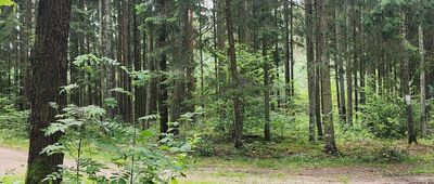 Droga wojewódzka 662 ↔ Szczebra