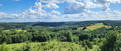 Punkt widokowy "U Pana Tadeusza"