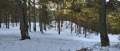 Odejście na punkt widokowy [W kierunku nadwiślańskiej skarpy]