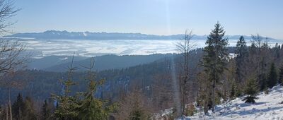 Wisielakówka ↔ Schronisko PTTK Turbacz