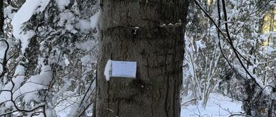 Kidałki ↔ Dubne [Przechyby]