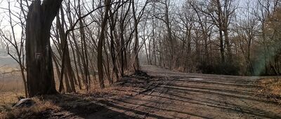 Przystań Bolesława Chrobrego