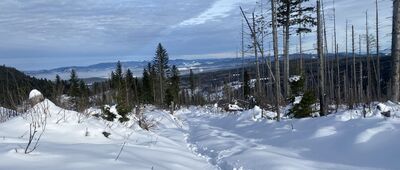 Rozejście szlaków ↔ Malá Franková