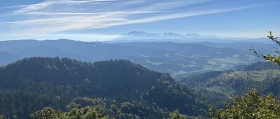 Pod Wysoką ↔ Wysoka