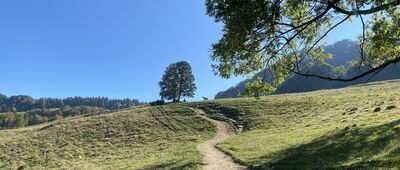 Baza namiotowa Pod Wysoką ↔ Polana pod Wysoką