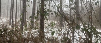 Aleja Jurajska ↔ Dolina Grzybowska, parking