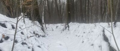 Aleja Jurajska ↔ Balice, ul. Leśna