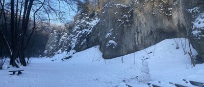 Mników, Rezerwat Dolina Mnikowska ↔ Dolina Mnikowska, parking