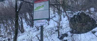 Skałka, Rezerwat Zimny Dół