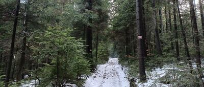 Myślenice ↔ Pod Sularzówką