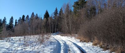 Babica ↔ Pod Sularzówką