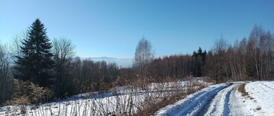 Pod Bieńkowską Górą