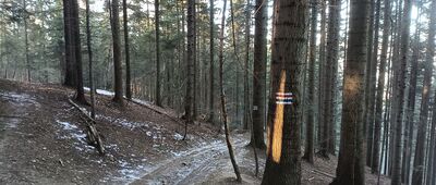 Harbutowice, Końcówka ↔ Babica Zachodnia