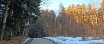 Zachełmna, Nagiełówka