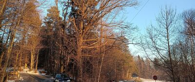 Zachełmna, Nagiełówka