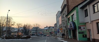 Kalwaria Zebrzydowska