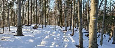 Targanice ↔ Pod Potrójną