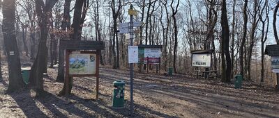 Dom Turysty Pod Wieżycą