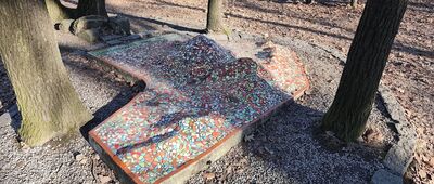 Dom Turysty Pod Wieżycą