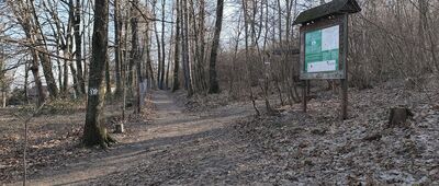 Przełęcz pod Wieżycą, rozejście szlaków