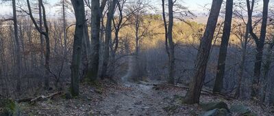 Pod Wieżycą ↔ Przełęcz pod Wieżycą, rozejście szlaków