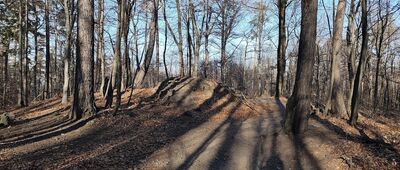 Przełęcz Dębowa ↔ Ścieżka przyrodnicza, wiata