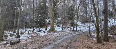 Rozejście szlaków pod Ślężą