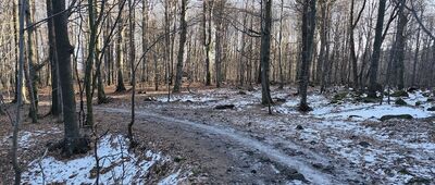 Rozejście szlaków pod Ślężą