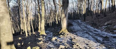 Ślęża, odejście szlaku niebieskiego