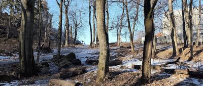 Ślęża, rozejście szlaków