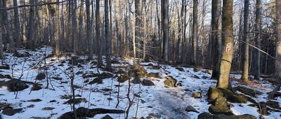 Ślęża, rozejście szlaków