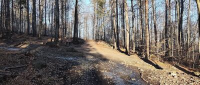 Rozdroże Holtei'a ↔ Ślęża, rozejście szlaków