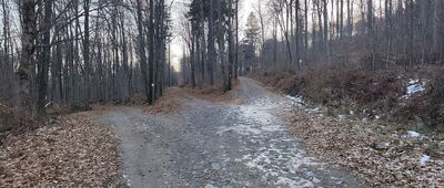 Trakt Bolka ↔ Rozdroże Holtei'a