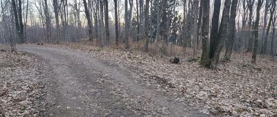 Skrzyżowanie z Drogą Dzikiej Świni